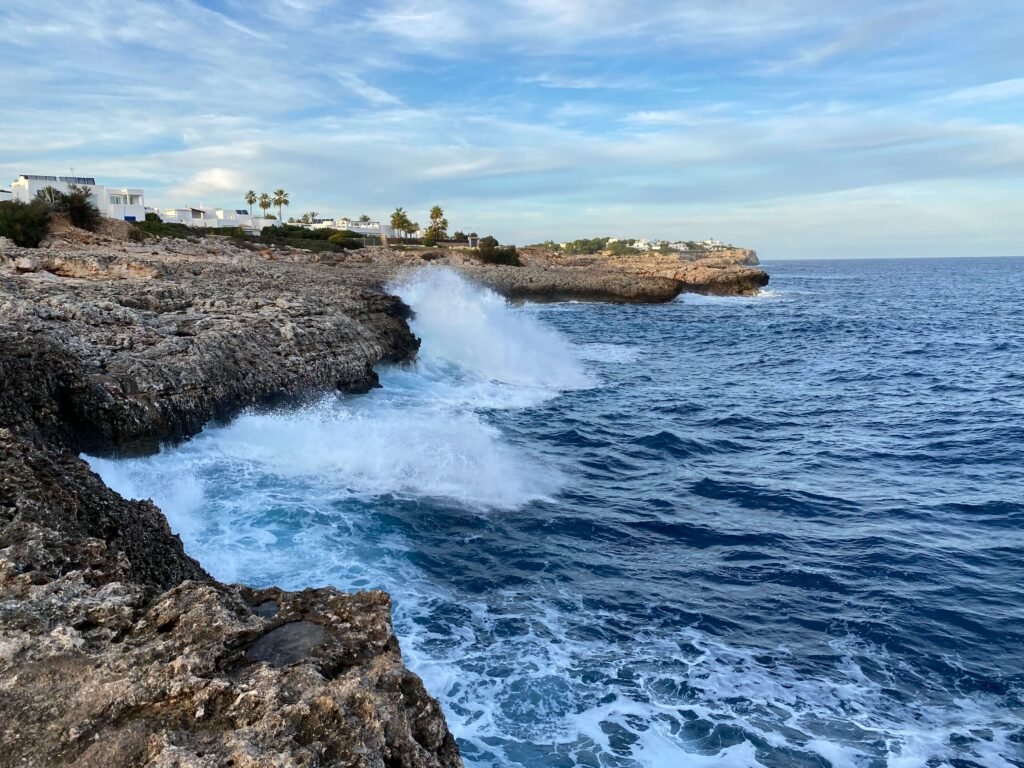 Vedroño en Mallorca