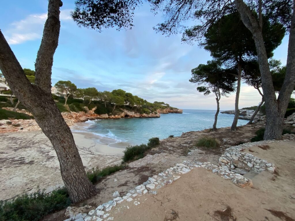 Vedroño en Mallorca