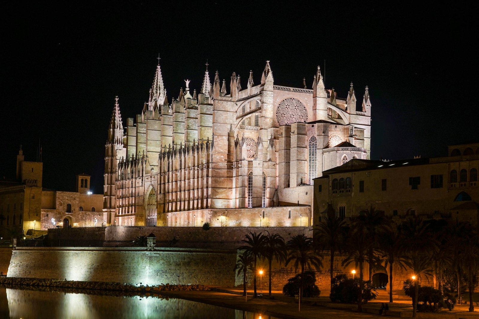 cathedral of saint mary of palma at night